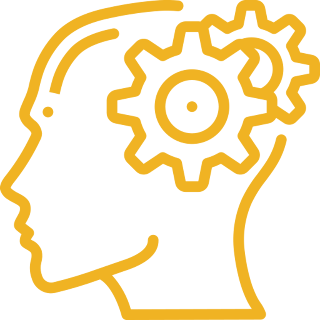 brain